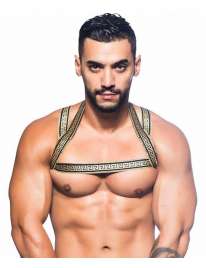 Arnés De Andrew Christian Grandes Gladiadores,600058