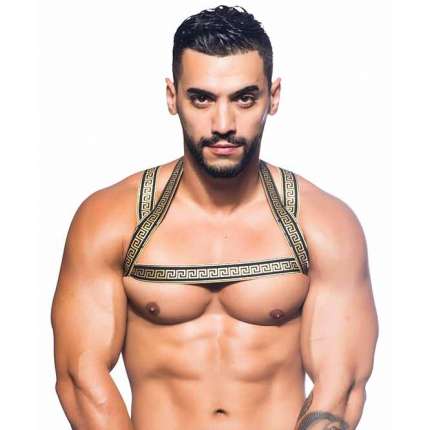 Arnés De Andrew Christian Grandes Gladiadores,600058