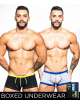 Pack 2 Boxers Andrew Christian Basix Tagless Boy Preto Cinzento Claro,600063