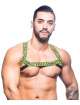 Harness Andrew Christian Master 600075