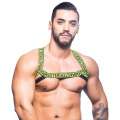 Harness Andrew Christian Master