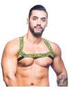 Harness Andrew Christian Master,600075