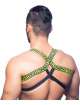 Harness Andrew Christian Master 600075