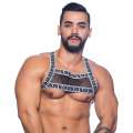 Harness Andrew Christian Crave Mesh Preto