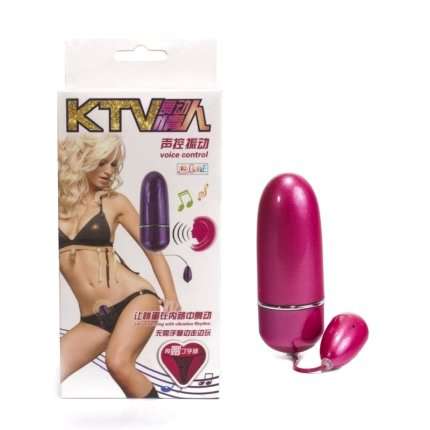 Vibrator Bullet with Controller Voice T-Back Underwear 176087