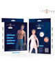 intense dolls - anthony inflatable doll with 3d penis