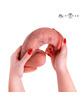 Dildo Realístico Mr Intense Spencer Bege 25,5 cm