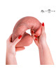 Dildo Realístico Mr Intense Spencer Bege 28 cm