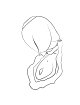 Romp - Rose Glow Clitoral Suction Tool Glow In The Dark