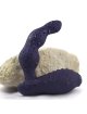 Rocks-Off - Nova Dominion Rechargeable Prostate & Perineum Massager 16 Function Blue