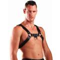 Harness H Couro Preto