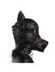 Hood of the Black Dog 1873558