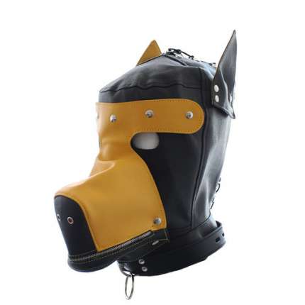 The hood of the Dog-Black and Yellow 1873559