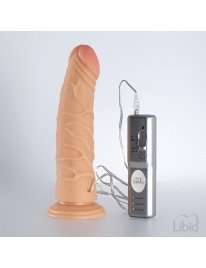 Díldo that is Realistic with Vibration and Candy Lust 21cm 2153729