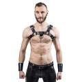 Harness Leather with Mister B Saddle Black