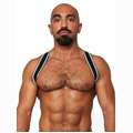 Harness Mister B Urban Club Sling