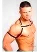 Harness Maskulo YoungEro com Banda Neon,1114634