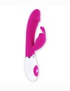 Vibrador Rabbit Pretty Love Flirtation 20 cm 2104781