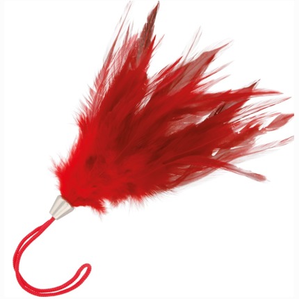 Espanador de Plumas Curto Vermelho,3364933