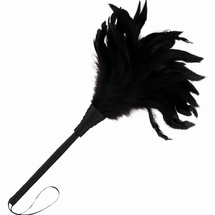 Espanador de Plumas Longo Preto 3364934