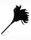 Espanador de Plumas Longo Preto 3364934