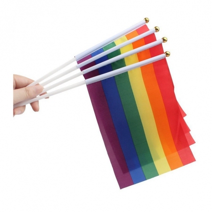 Flag Rainbow of hand with the trunk 10 x 15 cm 833500