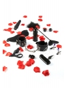 Kit BDSM ToyJoy Pleasure 3415831