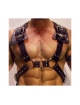Harness Gladiador,1115976