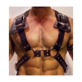 Harness Gladiador