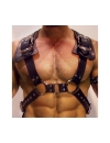 Harness Gladiador 1115976