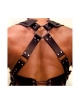 Harness Gladiador,1115976