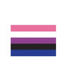 Bandeira Genderfluid 150 x 90 cm