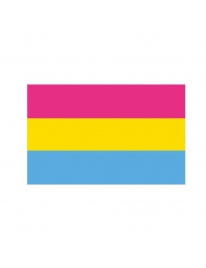 Bandeira Pansexual 150 x 90 cm 8135989