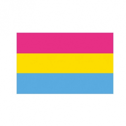 Bandeira Pansexual 150 x 90 cm,8135989 Bandeira Pansexual 150 x 90 cm,8135989
