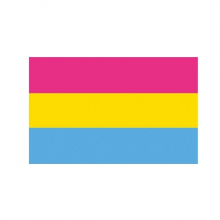 Bandeira Pansexual 150 x 90 cm 8135989