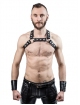 Harness X-Back Black 601602