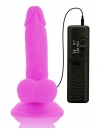 Vibrador Realístico Diversia 17 cm 2186123