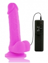 Vibrador Realístico Diversia 20 cm,2186124