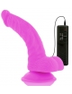 Vibrador Realístico Diversia 21.5 cm 2186125