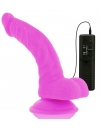 Vibrador Realístico Diversia 21.5 cm,2186125