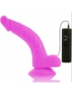 Vibrador Realístico Diversia 21.5 cm 2186125