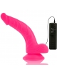 Vibrador Realístico Diversia 21.5 cm 2186125