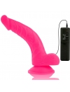 Vibrador Realístico Diversia 21.5 cm,2186125