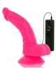 Vibrador Realístico Diversia 21.5 cm 2186125