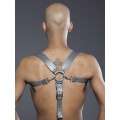 Combi Harness Braces Basic Cinzento