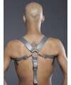 Combi Harness Braces Basic Gray 601116