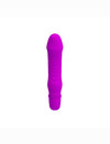 Mini Vibrador Pretty Love Stev,2176221