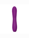 Vibrador Clássico Torti 17 cm 2136227