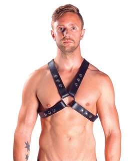 Harness Mister B Top Snap Studs,600105