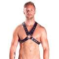 Harness Mister B Top Snap Studs